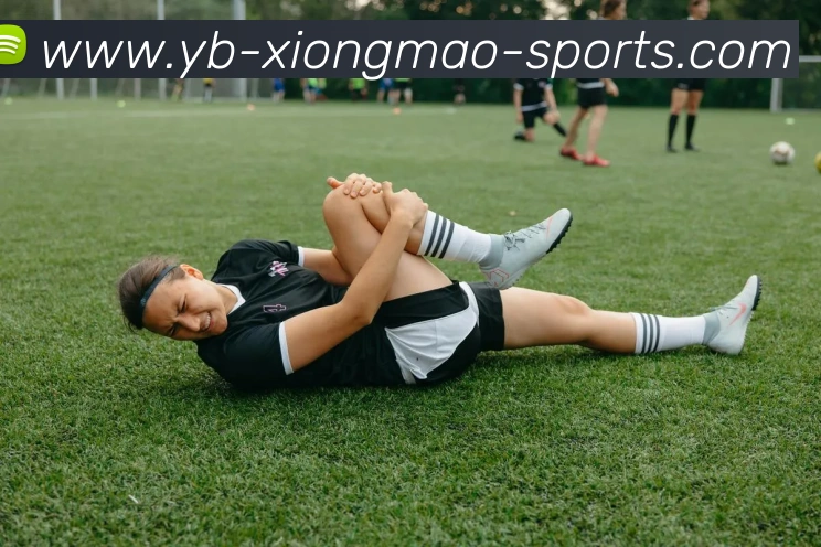 多媒体互动体验