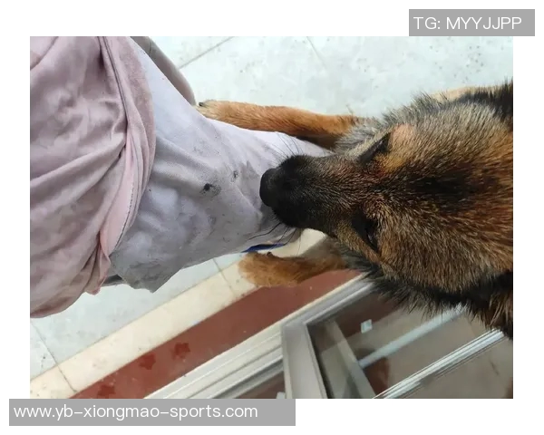 被麦卡甩后一个月他与我的朋友同居还带走了我的狗 被麦卡甩后一个月他与我的朋友同居还带走了我的狗